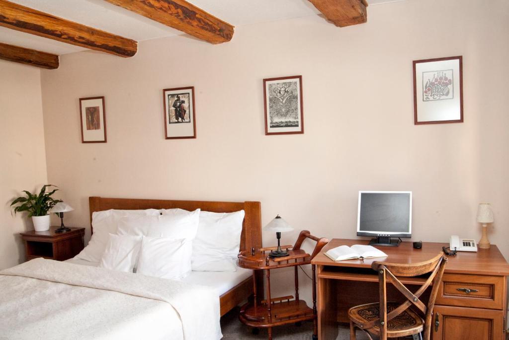 Hotel U Zlateho Lva ハブリーチクーフ・ブロト 部屋 写真