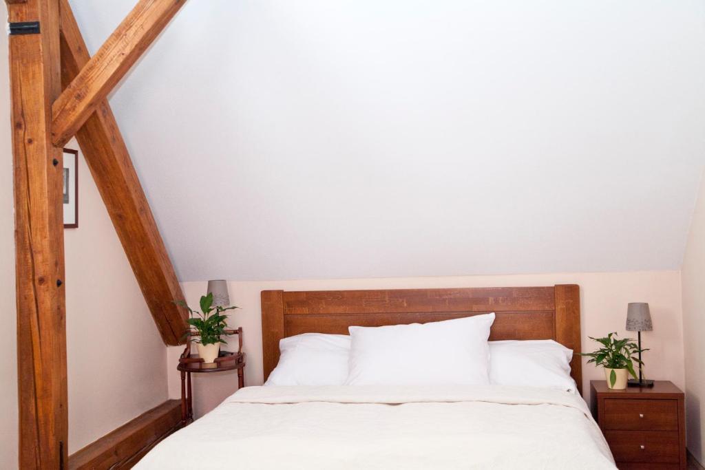 Hotel U Zlateho Lva ハブリーチクーフ・ブロト 部屋 写真